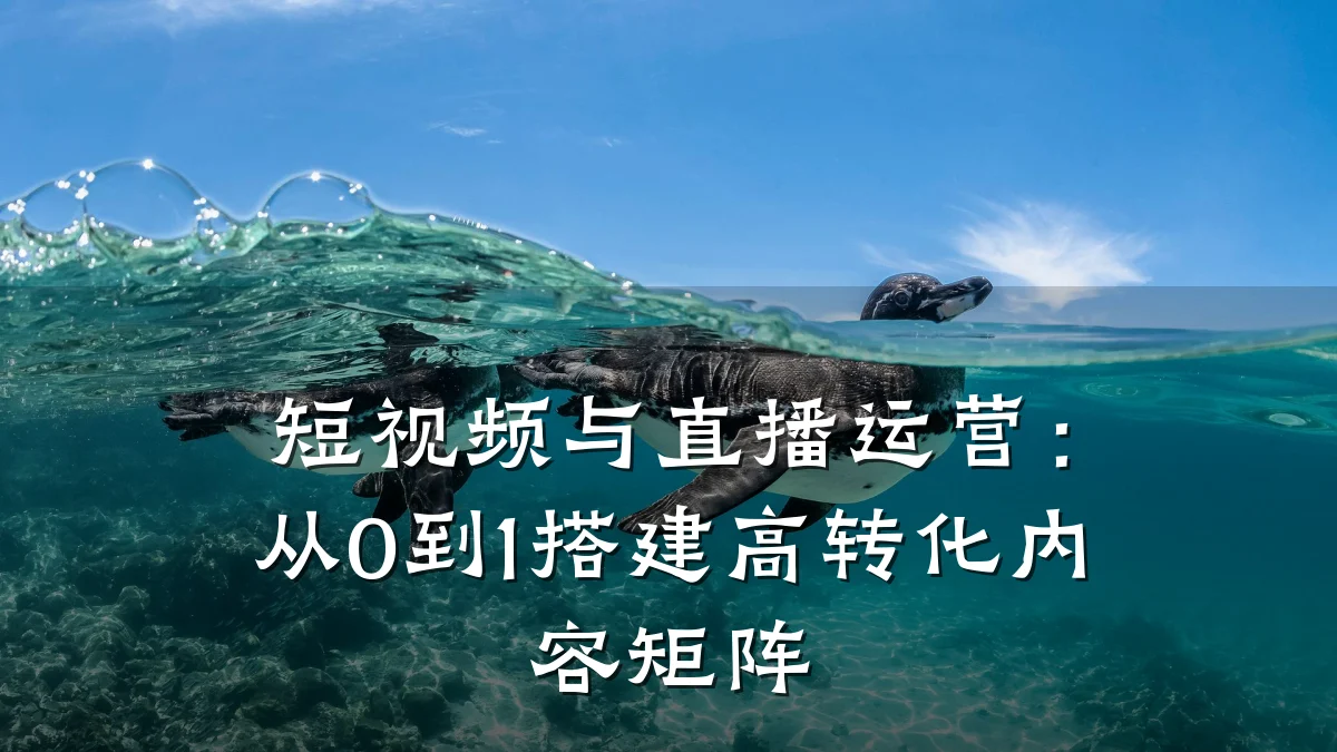 短视频与直播运营：从0到1搭建高转化内容矩阵