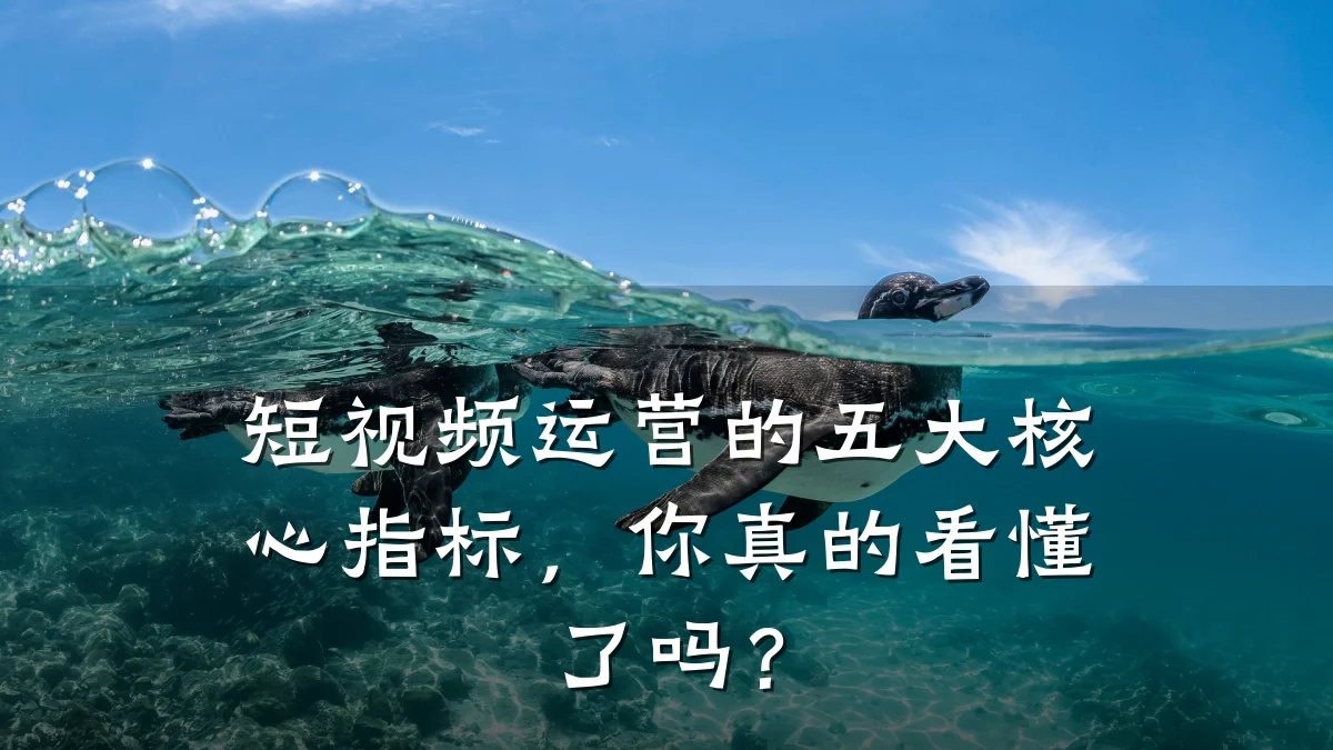 短视频运营的五大核心指标，你真的看懂了吗？