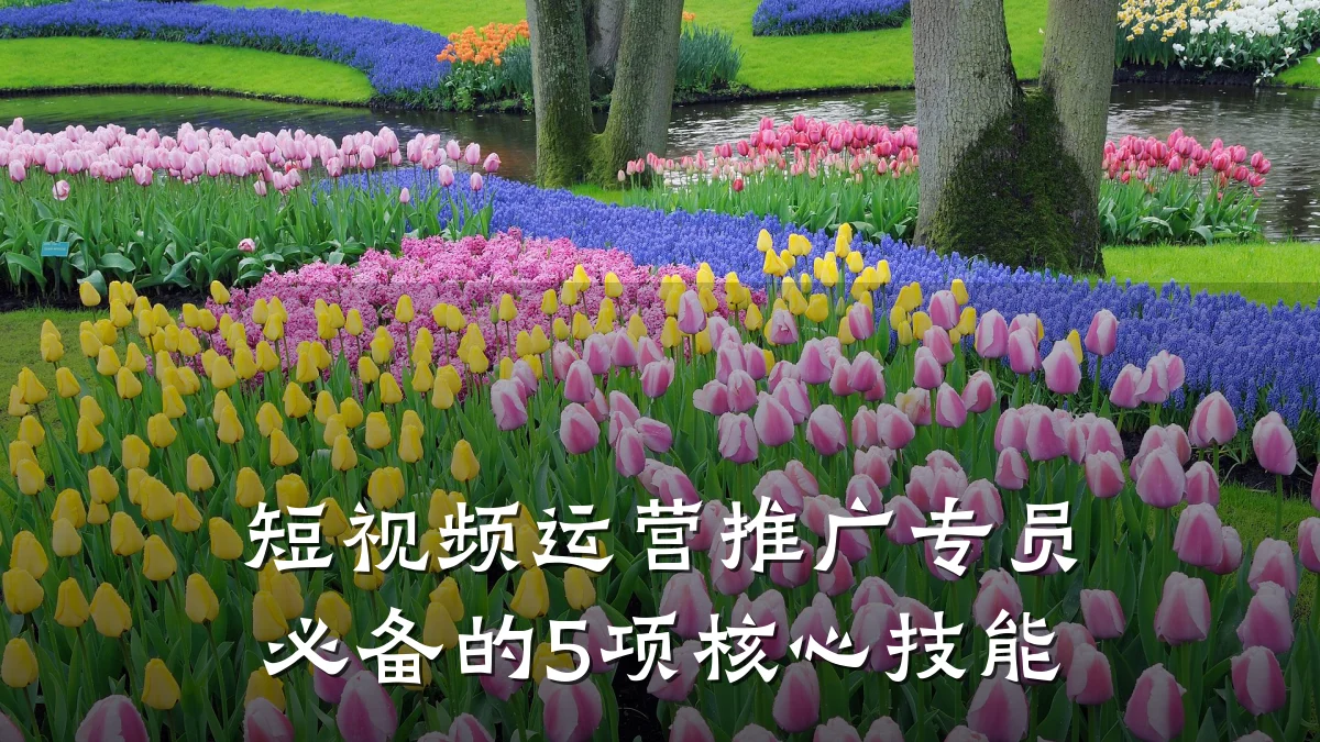 短视频运营推广专员必备的5项核心技能