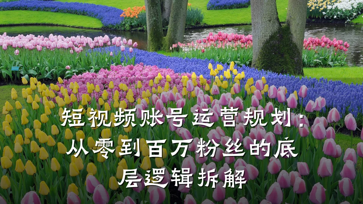短视频账号运营规划:从零到百万粉丝的底层逻辑拆解