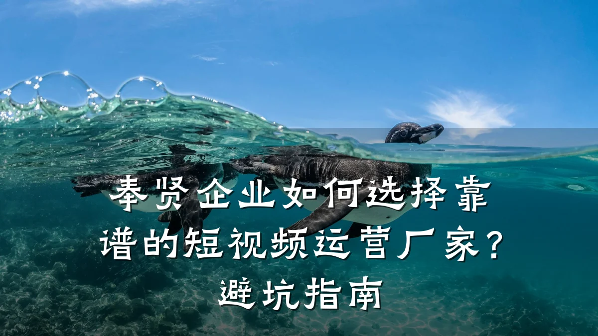 奉贤企业如何选择靠谱的短视频运营厂家?避坑指南