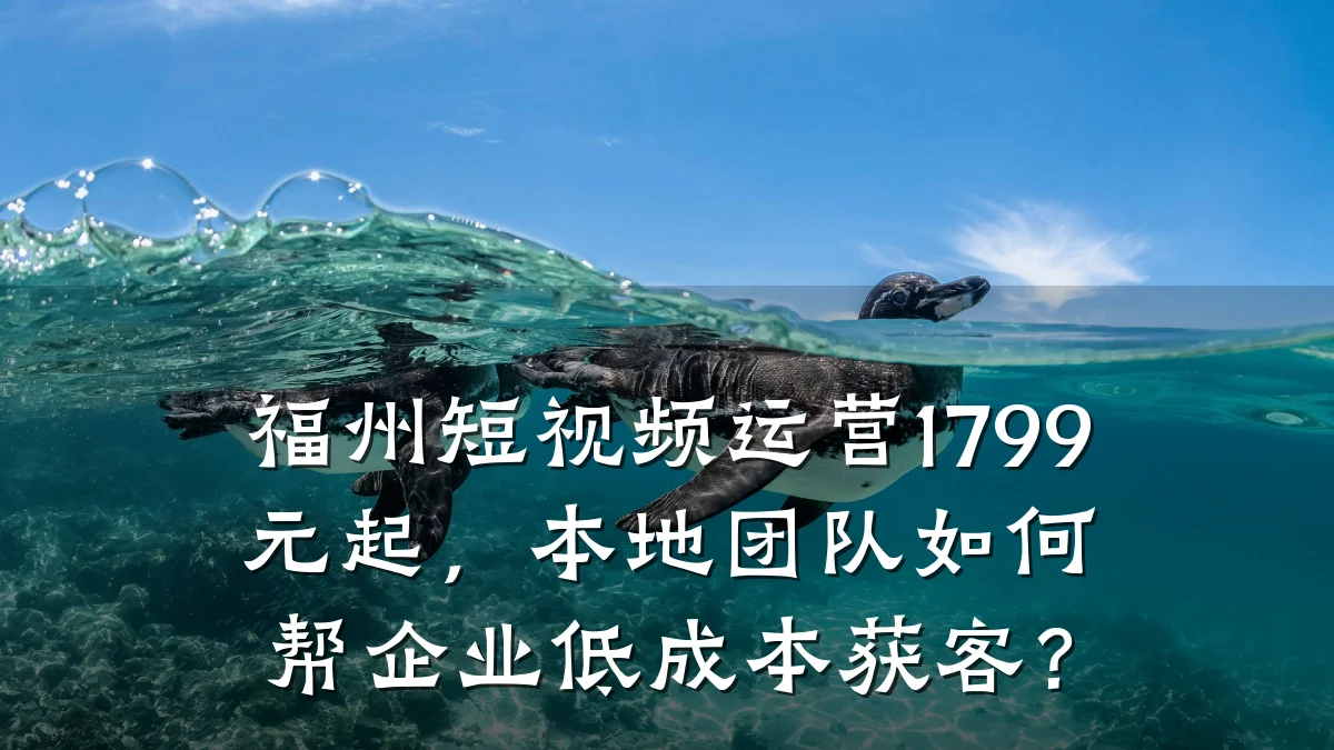 福州短视频运营1799元起,本地团队如何帮企业低成本获客?