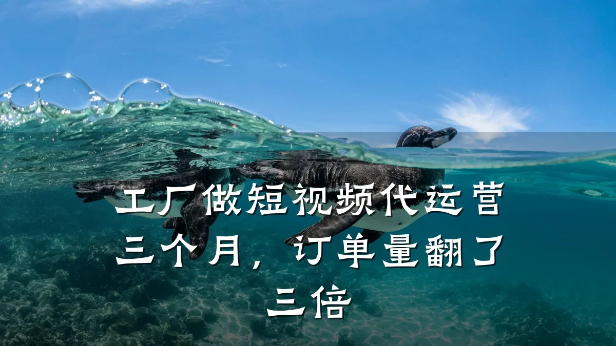 工厂做短视频代运营三个月，订单量翻了三倍