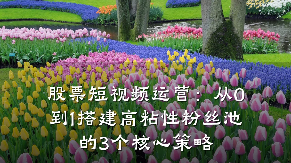 股票短视频运营：从0到1搭建高粘性粉丝池的3个核心策略