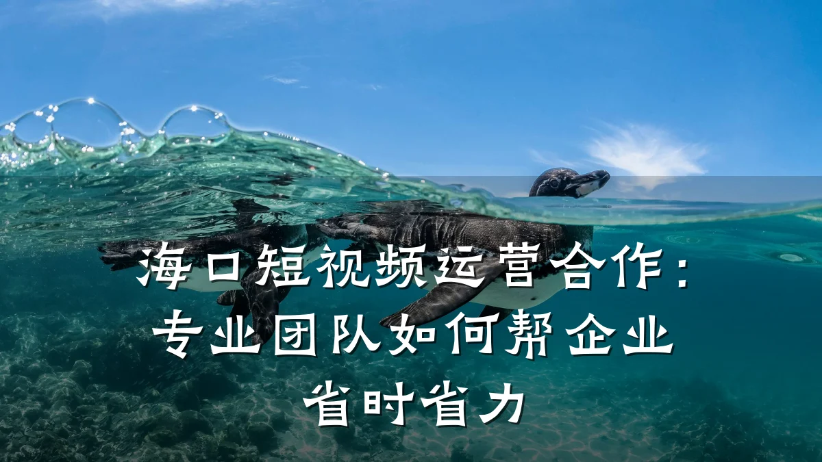海口短视频运营合作：专业团队如何帮企业省时省力