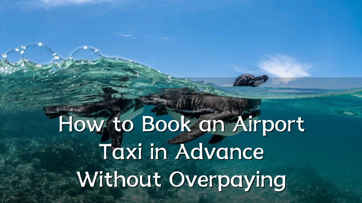 How to Book an Airport Taxi in Advance Without Overpaying