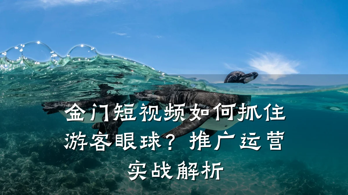 金门短视频如何抓住游客眼球？推广运营实战解析