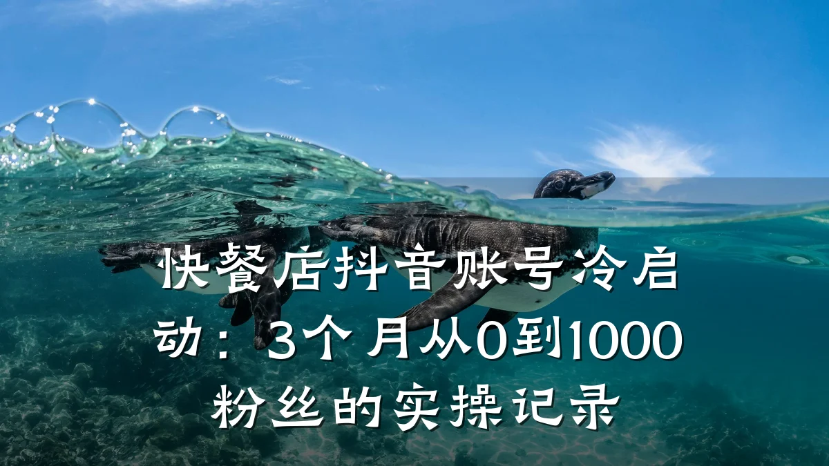 快餐店抖音账号冷启动:3个月从0到1000粉丝的实操记录