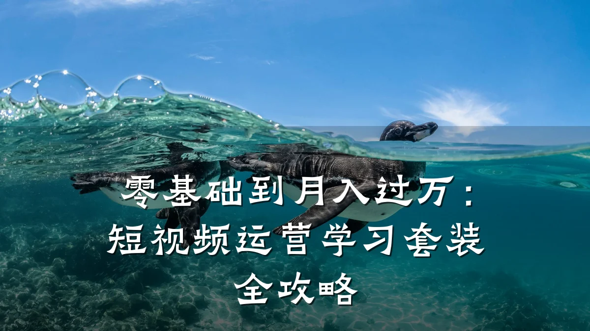 零基础到月入过万：短视频运营学习套装全攻略