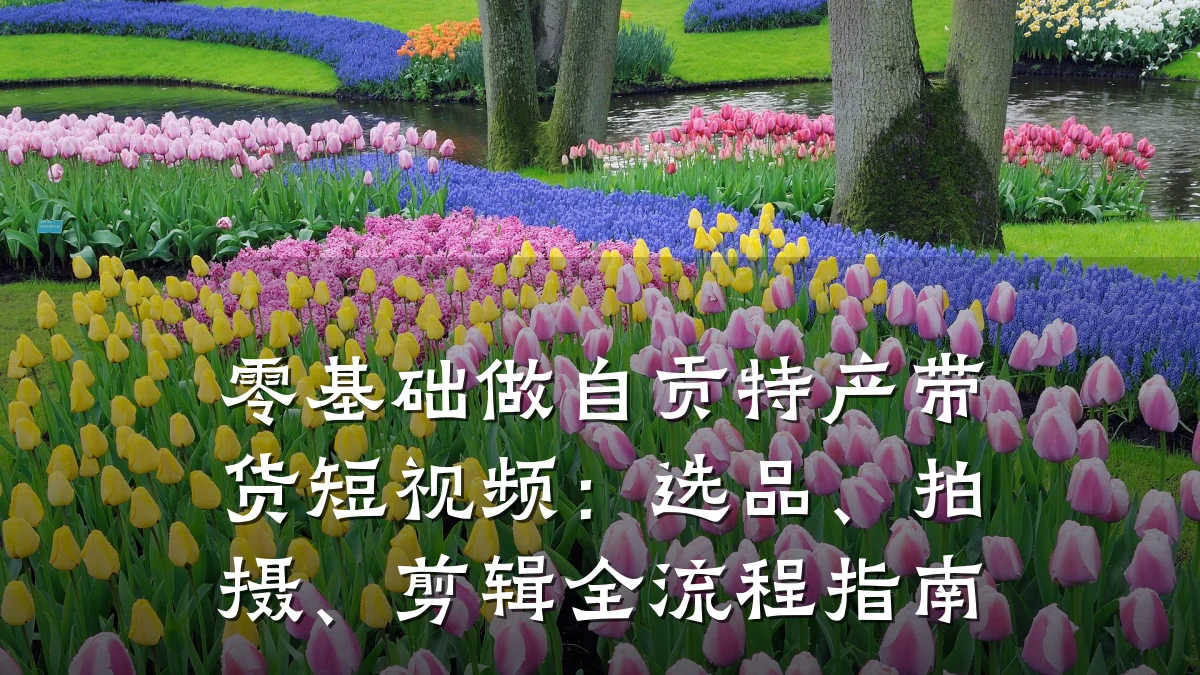零基础做自贡特产带货短视频：选品、拍摄、剪辑全流程指南