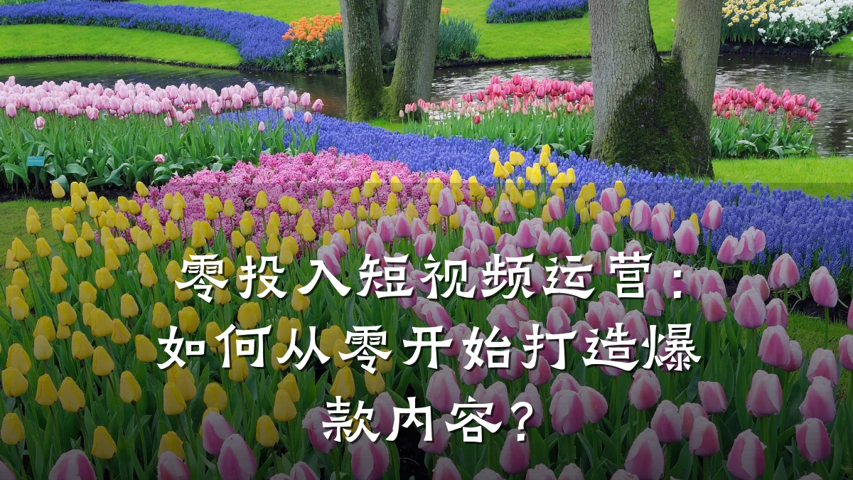 零投入短视频运营：如何从零开始打造爆款内容？