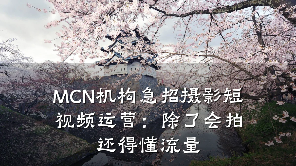 MCN机构急招摄影短视频运营：除了会拍还得懂流量