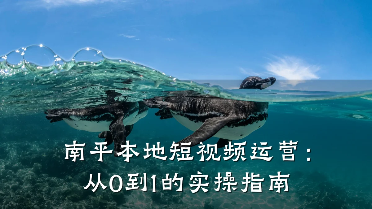 南平本地短视频运营：从0到1的实操指南