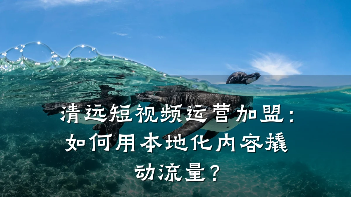 清远短视频运营加盟：如何用本地化内容撬动流量？