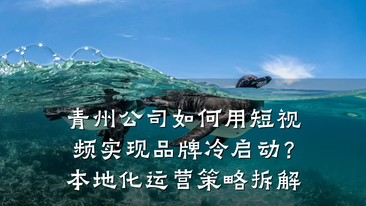 青州公司如何用短视频实现品牌冷启动？本地化运营策略拆解