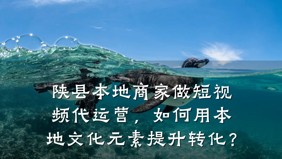 陕县本地商家做短视频代运营，如何用本地文化元素提升转化？