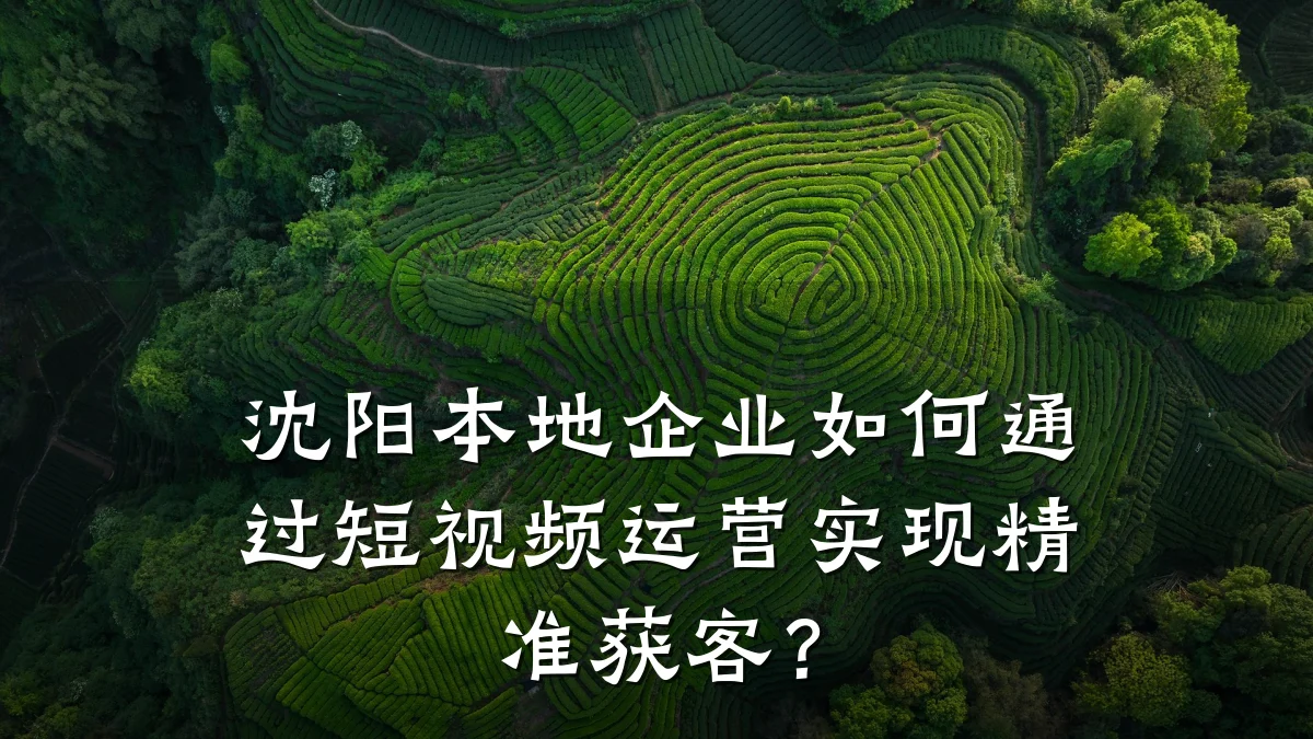 沈阳本地企业如何通过短视频运营实现精准获客？