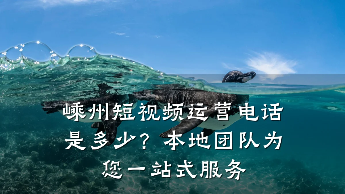 嵊州短视频运营电话是多少？本地团队为您一站式服务