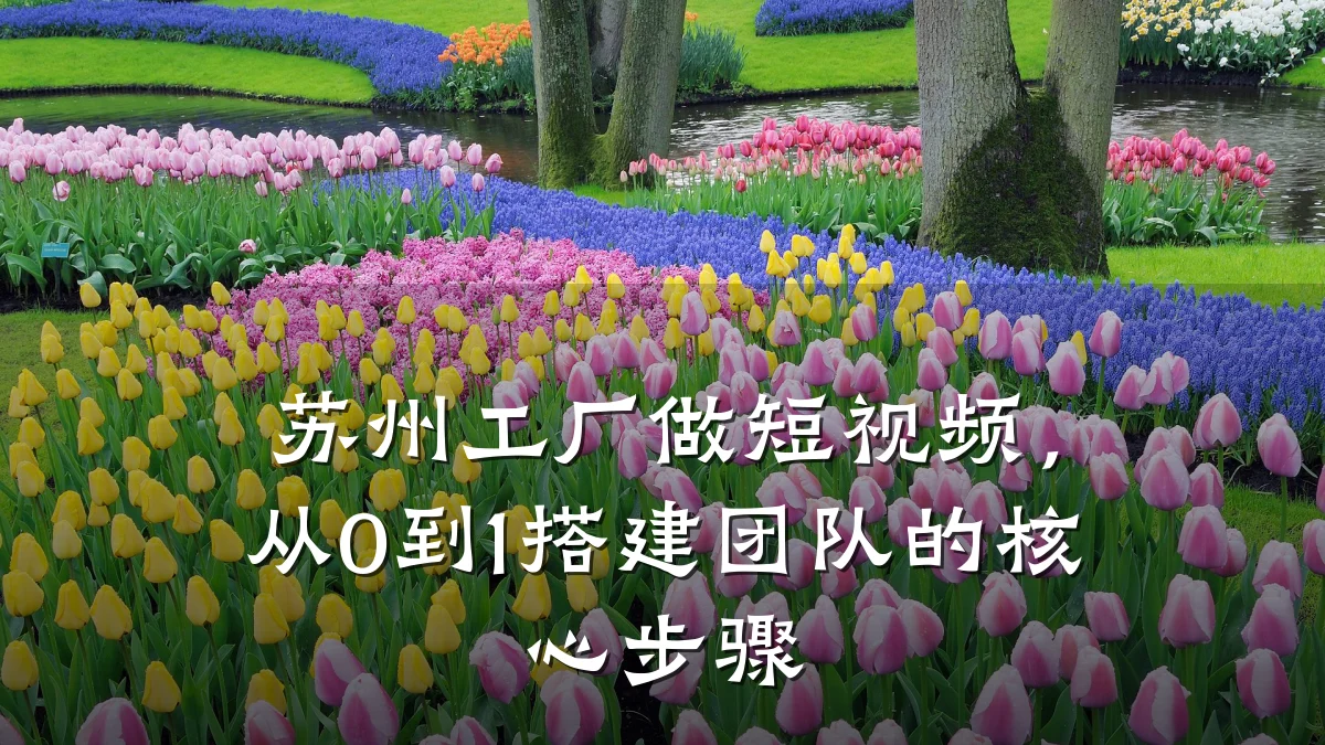 苏州工厂做短视频，从0到1搭建团队的核心步骤
