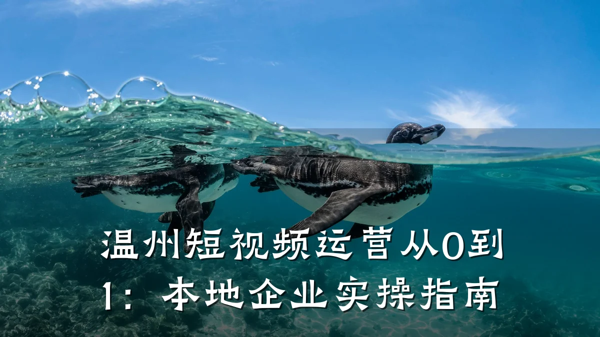 温州短视频运营从0到1：本地企业实操指南