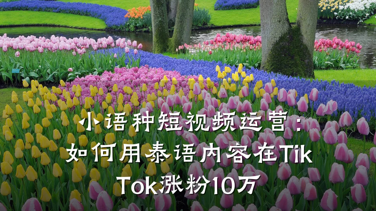 小语种短视频运营：如何用泰语内容在TikTok涨粉10万