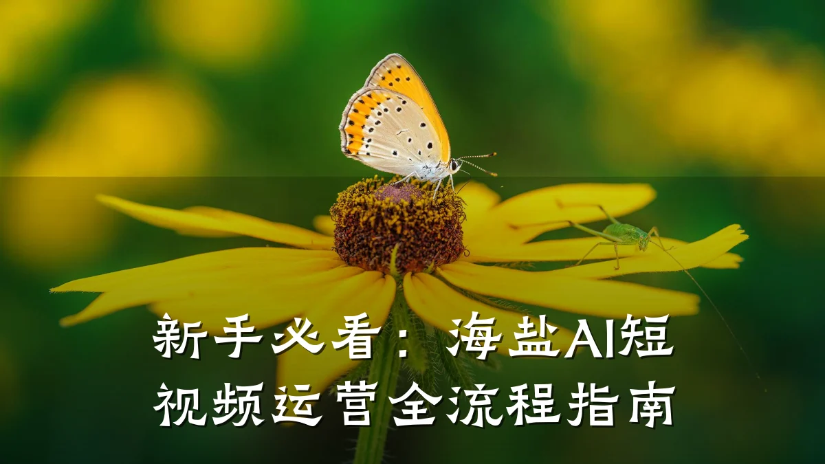 新手必看：海盐AI短视频运营全流程指南