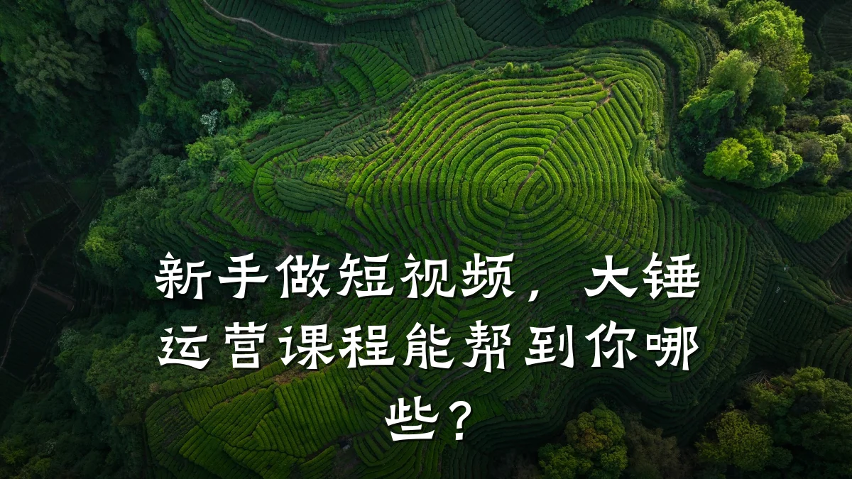 新手做短视频，大锤运营课程能帮到你哪些？