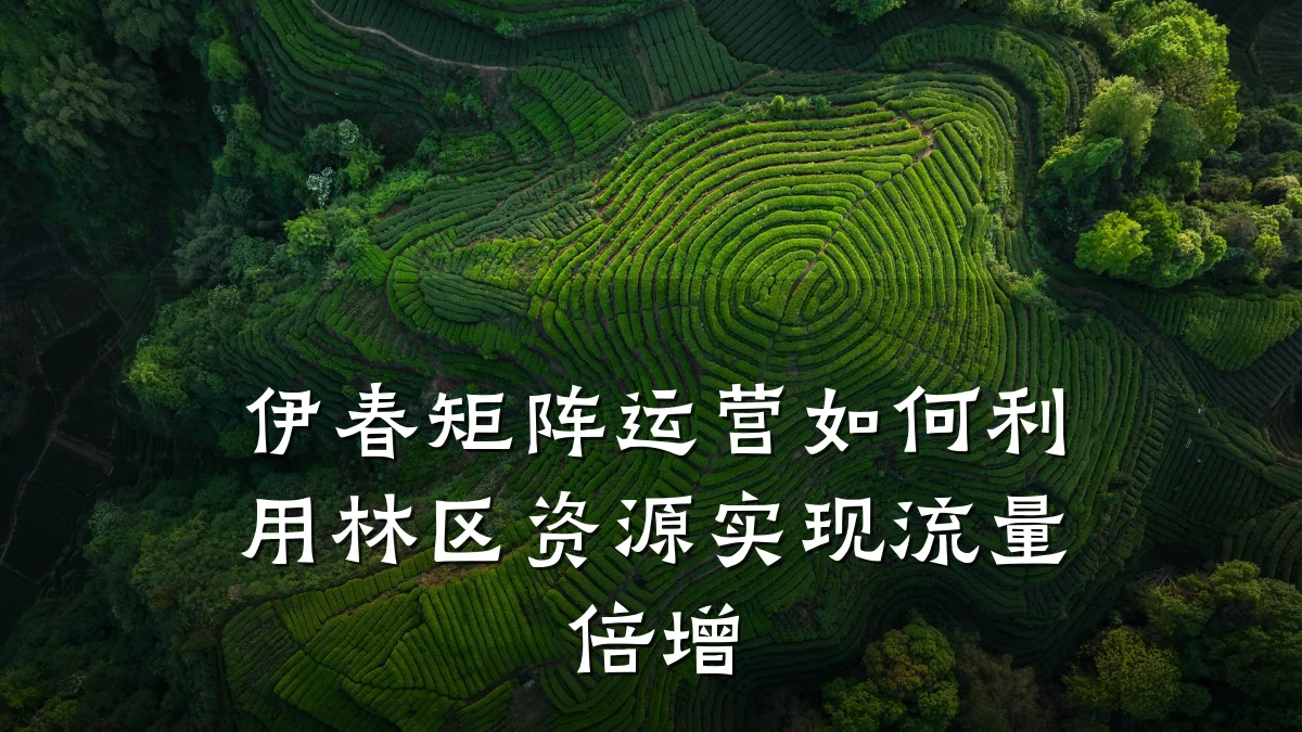 伊春矩阵运营如何利用林区资源实现流量倍增