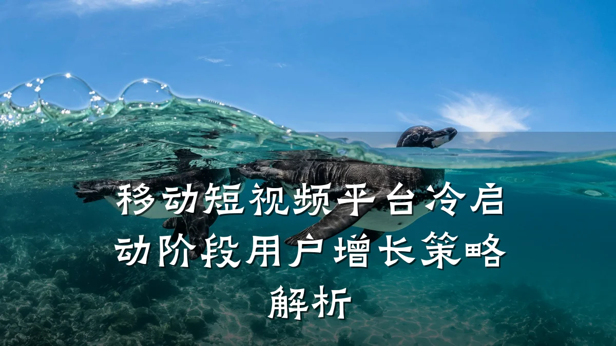 移动短视频平台冷启动阶段用户增长策略解析