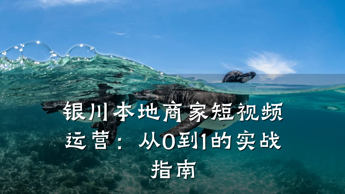 银川本地商家短视频运营:从0到1的实战指南