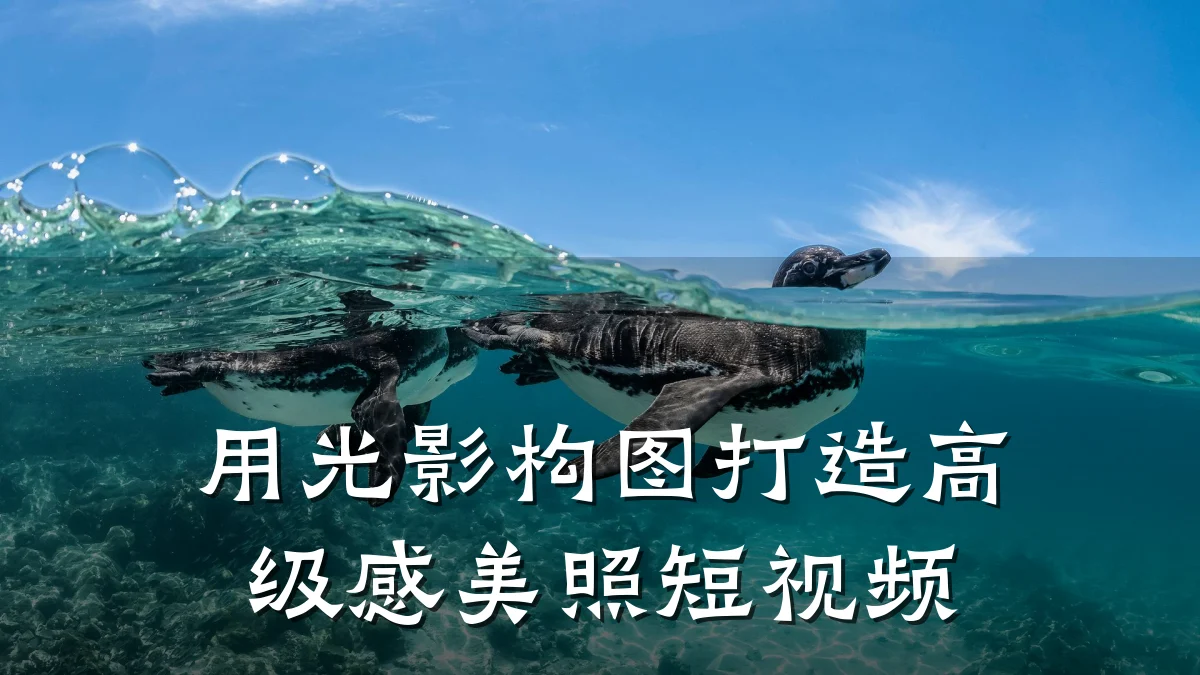 用光影构图打造高级感美照短视频