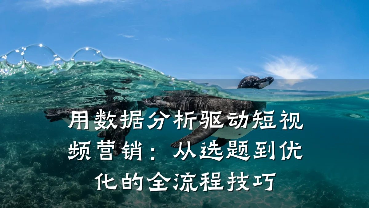 用数据分析驱动短视频营销：从选题到优化的全流程技巧