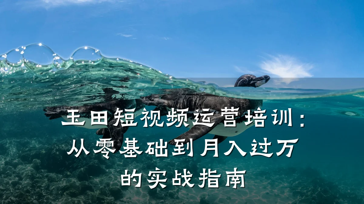 玉田短视频运营培训：从零基础到月入过万的实战指南