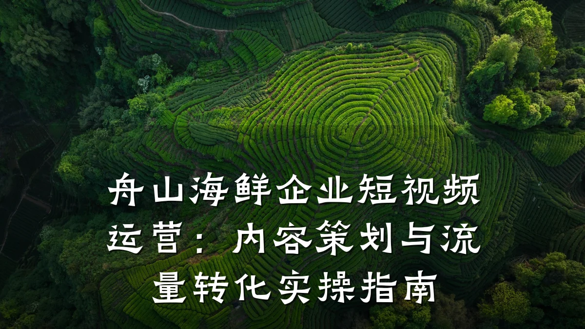 舟山海鲜企业短视频运营：内容策划与流量转化实操指南
