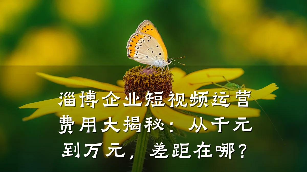 淄博企业短视频运营费用大揭秘：从千元到万元，差距在哪？