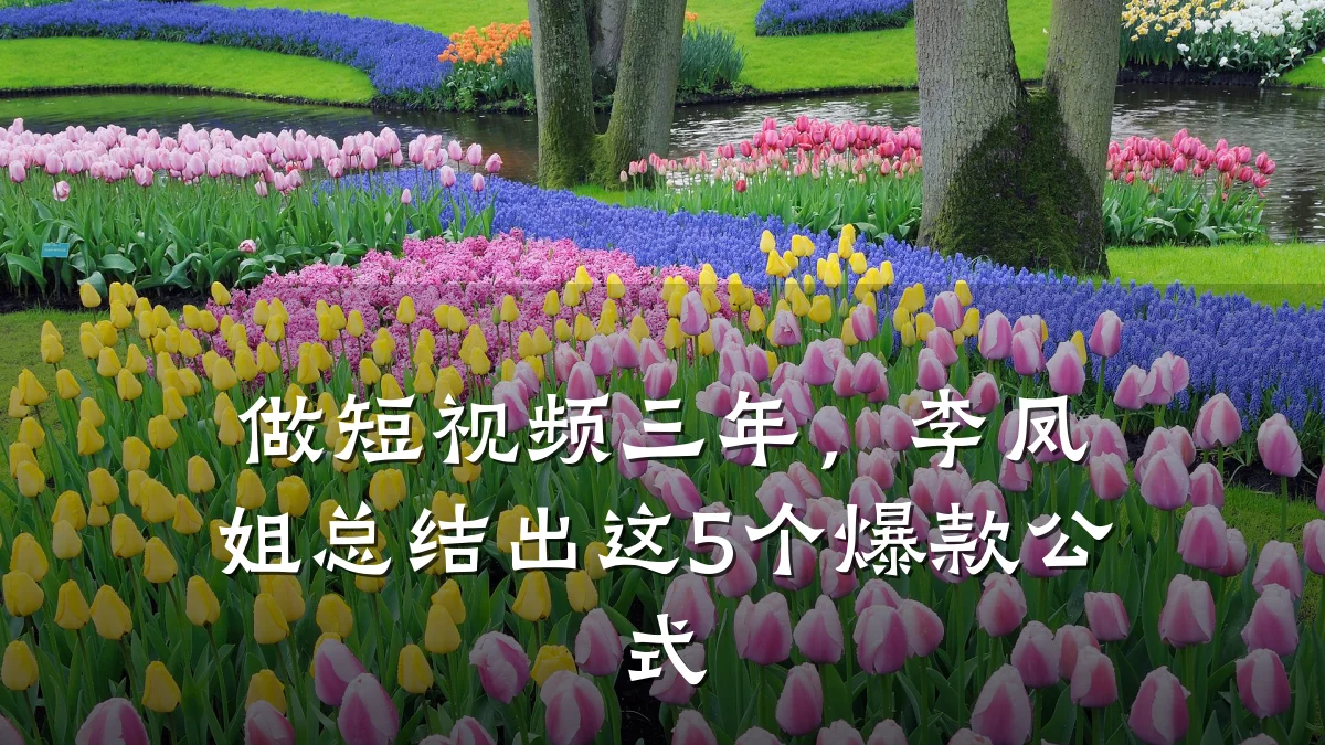做短视频三年，李凤姐总结出这5个爆款公式