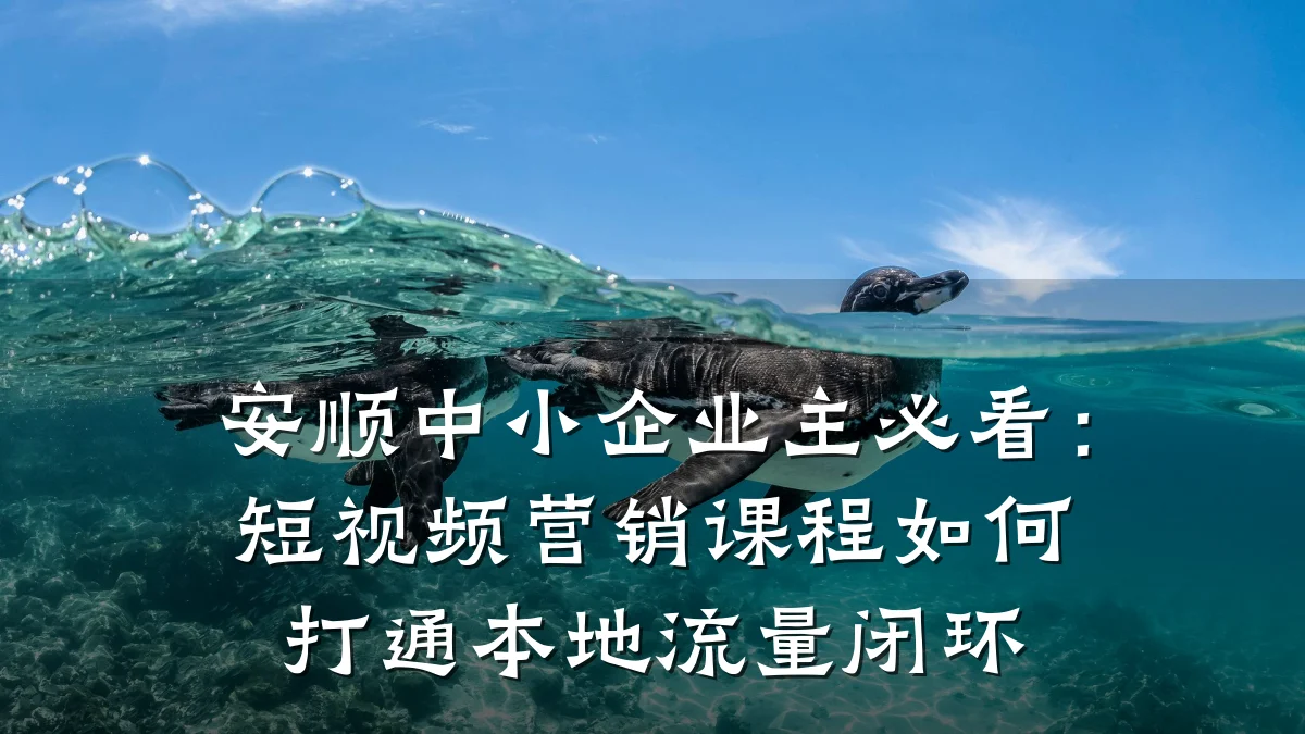 安顺中小企业主必看：短视频营销课程如何打通本地流量闭环