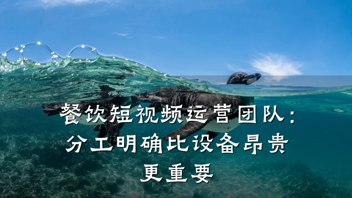 餐饮短视频运营团队：分工明确比设备昂贵更重要