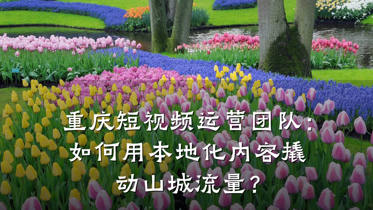 重庆短视频运营团队：如何用本地化内容撬动山城流量？