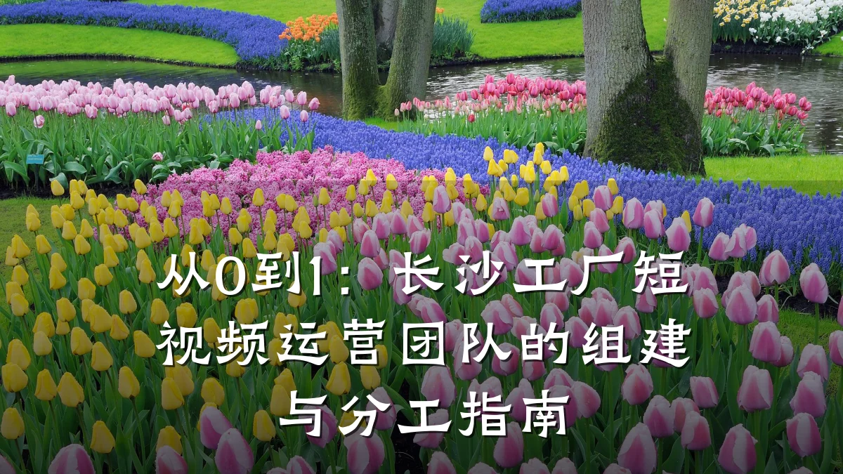 从0到1：长沙工厂短视频运营团队的组建与分工指南
