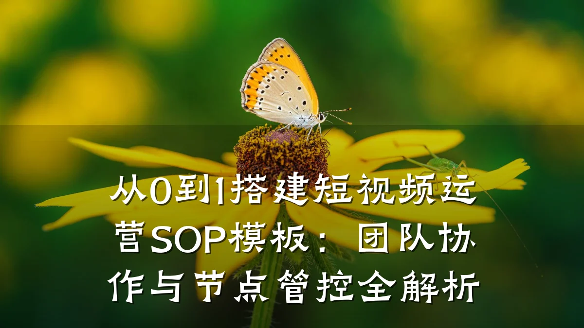 从0到1搭建短视频运营SOP模板：团队协作与节点管控全解析