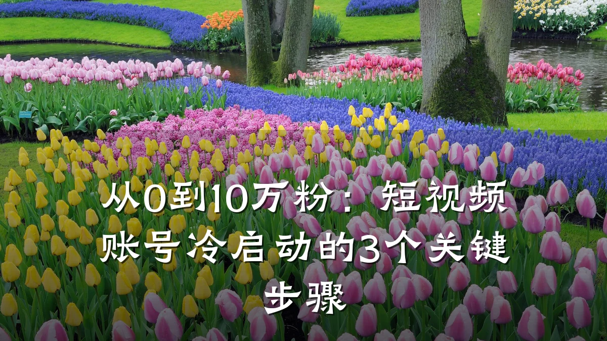 从0到10万粉：短视频账号冷启动的3个关键步骤