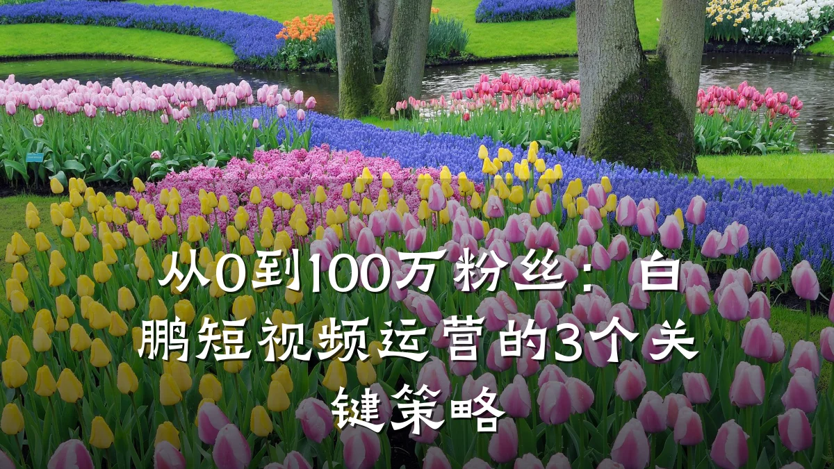 从0到100万粉丝：白鹏短视频运营的3个关键策略
