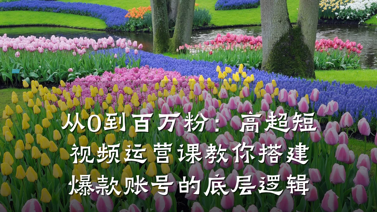 从0到百万粉：高超短视频运营课教你搭建爆款账号的底层逻辑