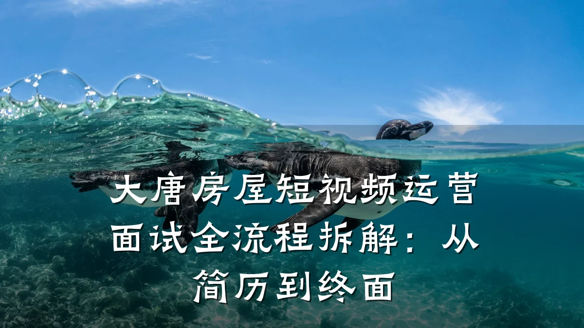 大唐房屋短视频运营面试全流程拆解：从简历到终面