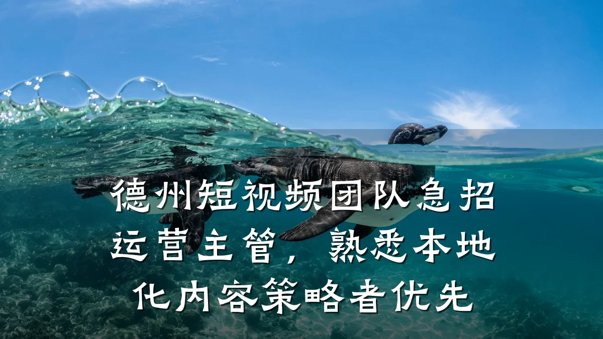 德州短视频团队急招运营主管，熟悉本地化内容策略者优先