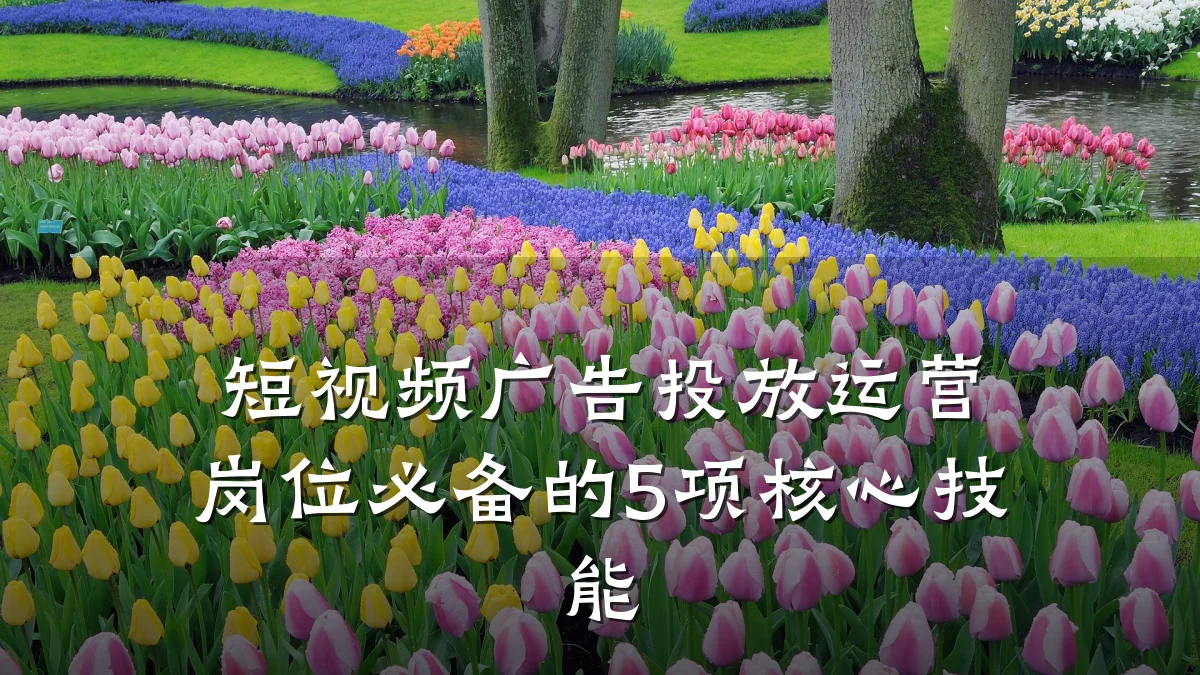 短视频广告投放运营岗位必备的5项核心技能