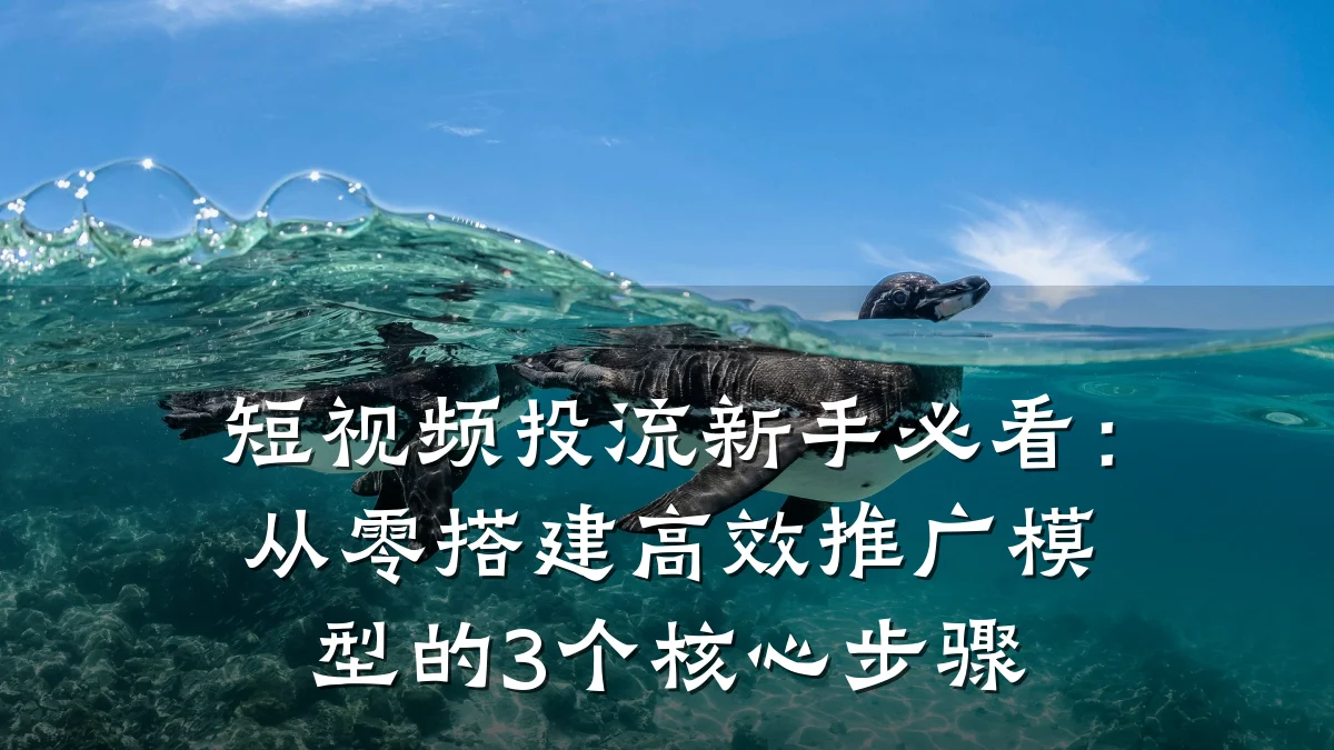 短视频投流新手必看：从零搭建高效推广模型的3个核心步骤