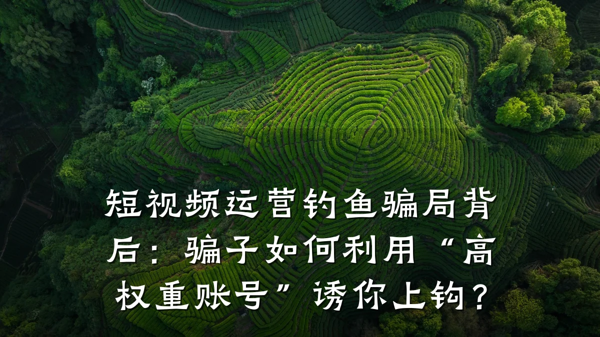 短视频运营钓鱼骗局背后：骗子如何利用“高权重账号”诱你上钩？