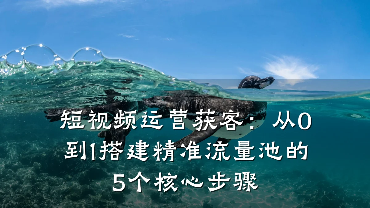 短视频运营获客：从0到1搭建精准流量池的5个核心步骤